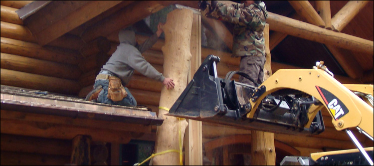 Log Home Log Replacement  Prince Edward County, Virginia