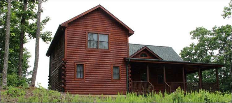 Professional Log Home Borate Application  Prince Edward County, Virginia